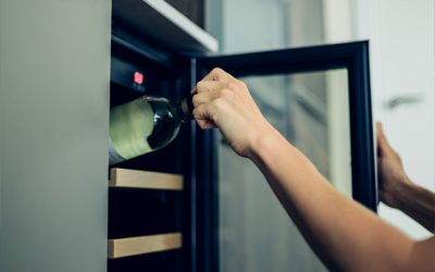 Wine Cellar Whispers: Elevating Thanksgiving with Viking Fixes